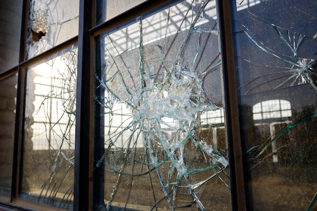 Photo trees seen through glass window of building