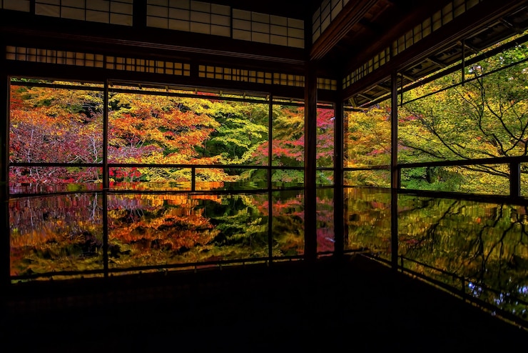 Photo trees seen through glass window
