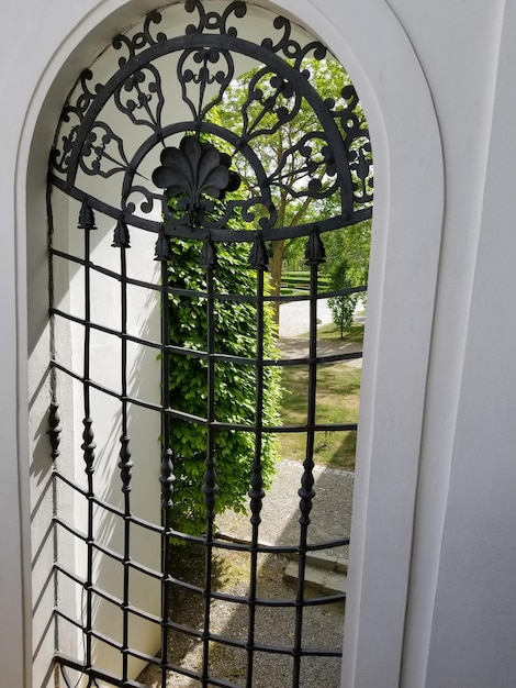 Photo trees seen through open window of building