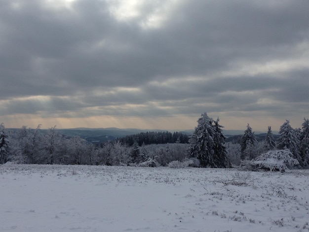 trees on snow covered field against cloudy sky during sunset