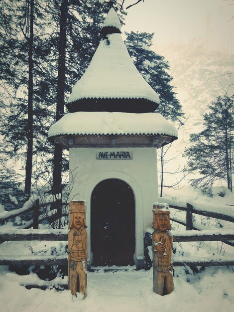 Foto alberi su un campo coperto di neve