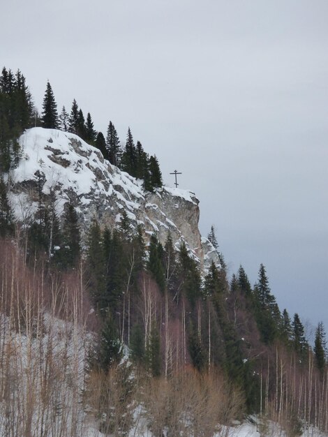 Trees on snow covered land against sky