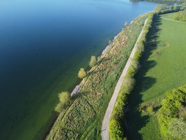 Trees and water from above aerial shot