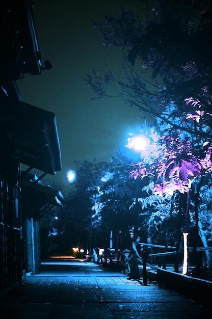 Photo trees in winter at night