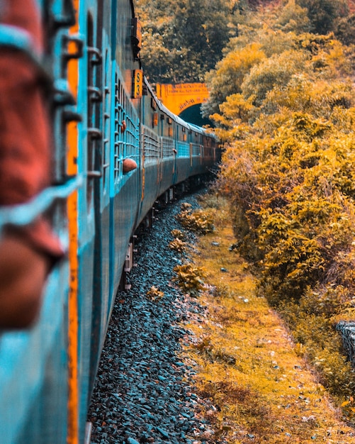 Foto trein door bomen in de herfst