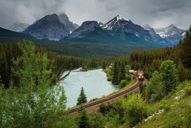 Trein door Morant's Curve in Bow Valley Banff National Park