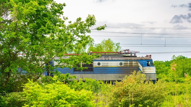 Trein locomotief beweegt door het groene bos