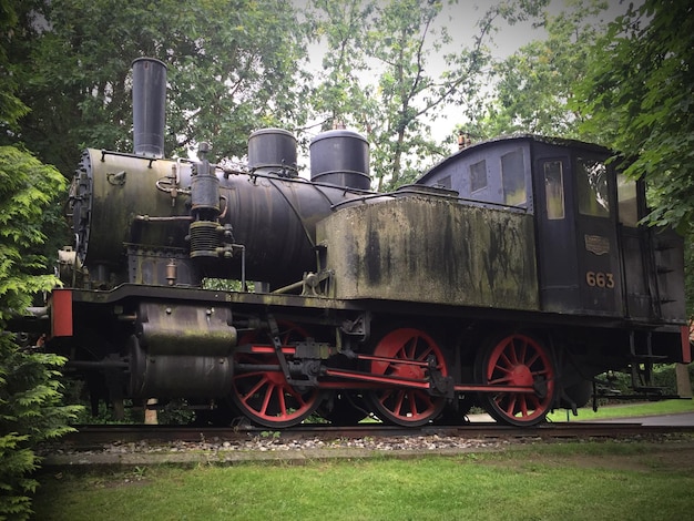 Trein op het veld