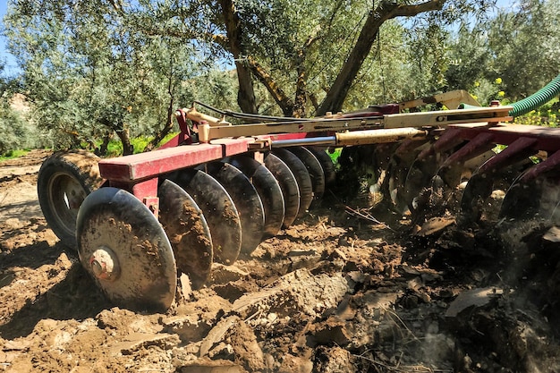 Trekker die grondbewerkingswerkzaamheden uitvoert in de olijfgaardschijveneggen