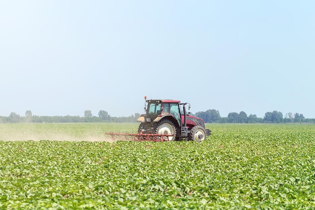 Trekker in het groene veld. Landbouw machine.