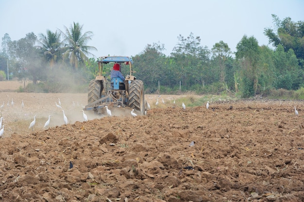 Trekker ploegende groef in veld Thailand.