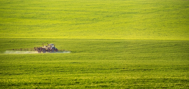 Trekker sproeien van pesticiden op veld met sproeier in de zomer