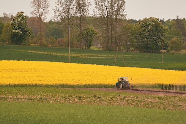 Trekker sproeit pesticiden op het veld met sproeier op voorjaarslandbouwvelden in het voorjaarsconcept van het platteland van het platteland