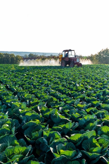 Trekker spuit chemicaliën en pesticiden naar een boerderijtje met groenten