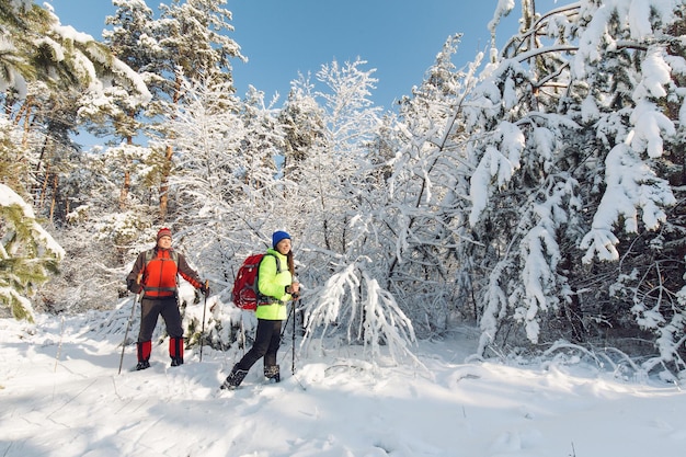 Trekkers along the path to  refuge in the Natural Park