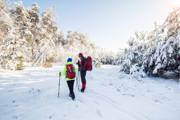 Trekkers langs het pad naar hun toevluchtsoord in het natuurpark