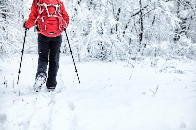 Trekkers langs het pad naar hun toevluchtsoord in het natuurpark