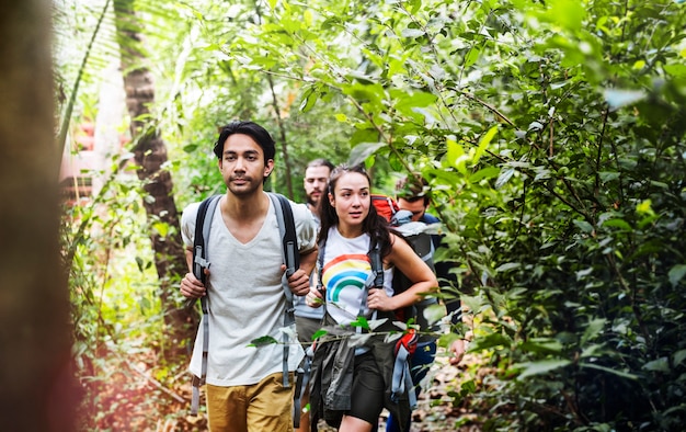 Trekking in a forest