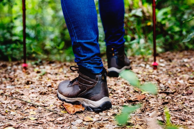 Trekking in a forest