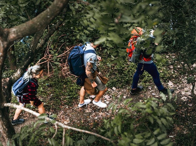 Trekking in a forest