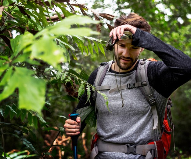 Photo trekking in a forest