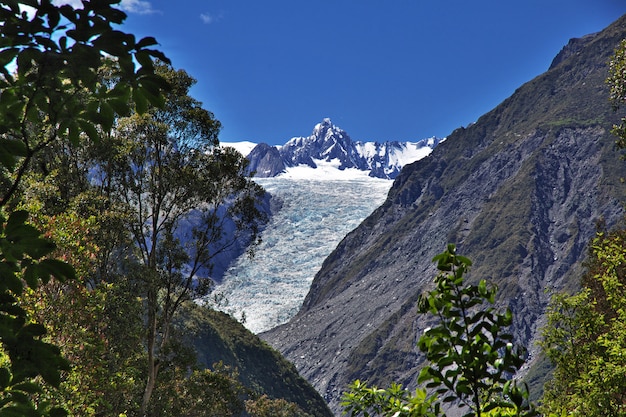 ニュージーランドのフォックス氷河へのトレッキング