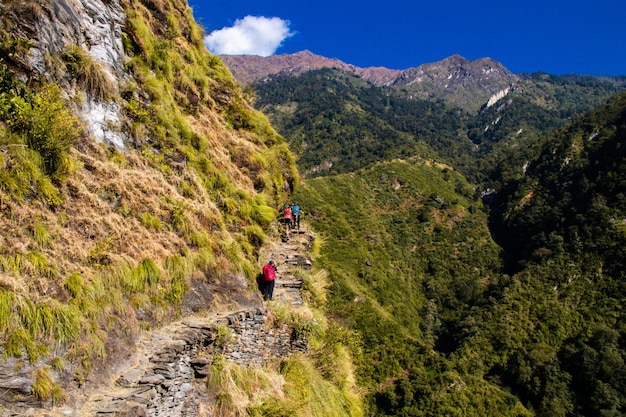 美しい緑の丘、川、滝のあるネパールのヒマラヤ山脈でのトレッキング