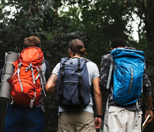 Trekking in een bos