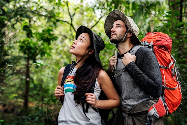 Trekking in een bos