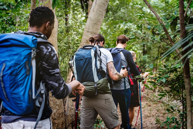 Trekking in een bos