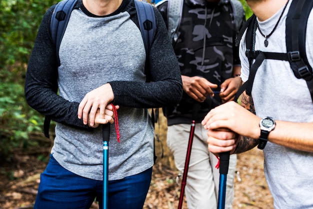 Trekking in een bos