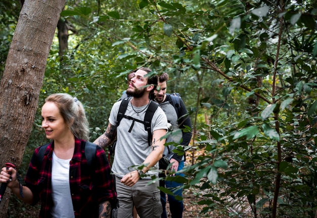 Trekking in een bos