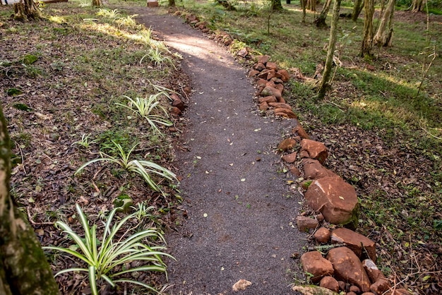 Foto trekking in het midden van de natuur in brazilië