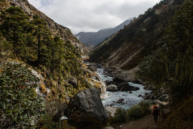 Trekking in nepal, himalaya