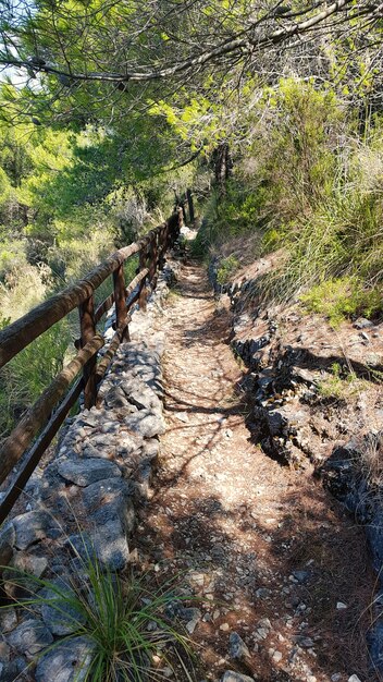 Trekking Path in the forest, South Italy