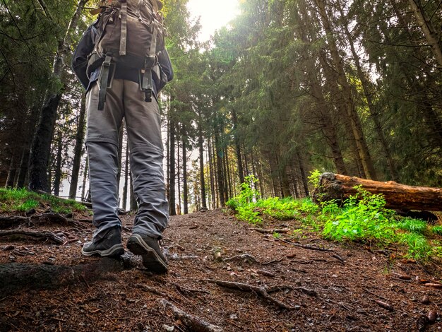 Foto trekking scène in een bosland