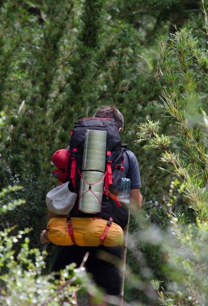 Foto cammina attraverso un campo di canna con tutta l'attrezzatura da campeggio giovane zaino a spalla che cammina attraverso il bosco