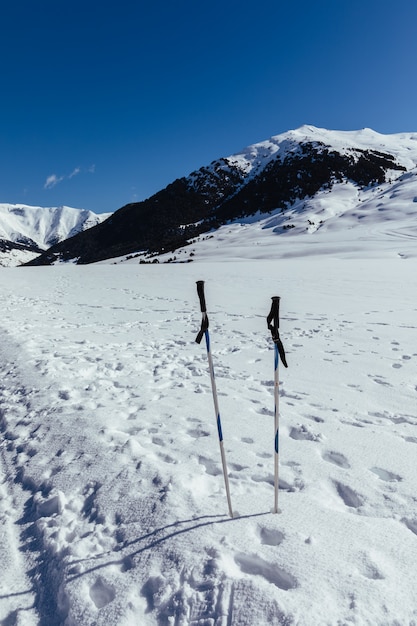 Trekking wandelstok