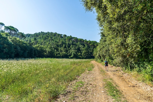 Trektocht bij zonsopgang en verlaat Girona met een wandelaar onderweg.