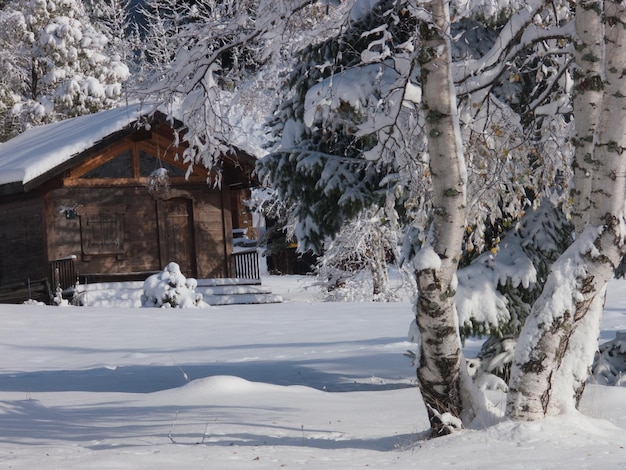 Trelechampchamonixhaute Savoiefrance