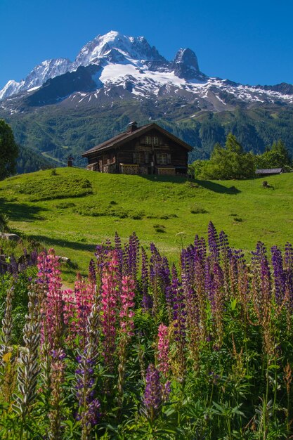 Trelechampchamonixhaute Savoiefrance