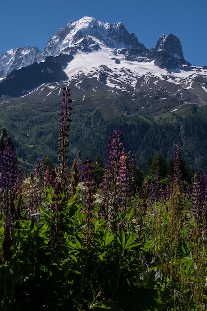 Trelechampchamonixhaute Savoiefrance