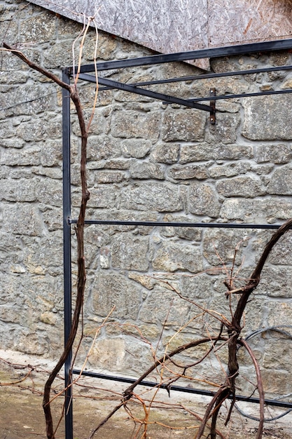 The trellises made of profile pipe for the grape arbor are attached to the stone wall of the house