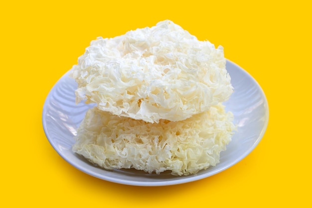 Tremella Mushroom on white plate on yellow background.