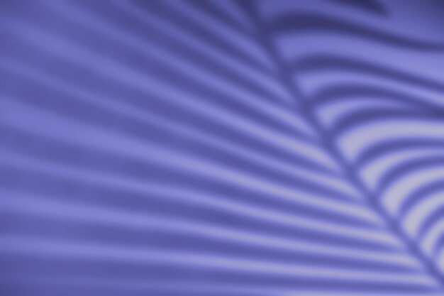 2022년 트렌드 컬러 프레젠테이션. 보라색 배경에 팜 리프의 그림자입니다. 디자인을 위한 빛과 그림자의 창의적인 그림