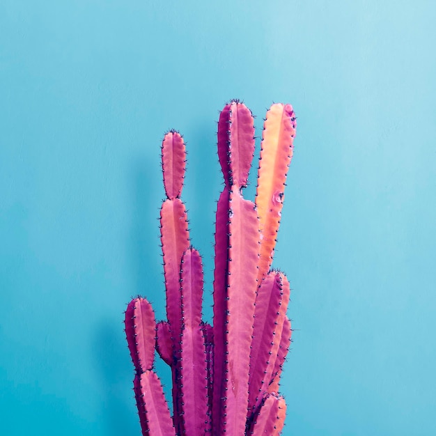 Trendy neon cactus against an blue wall Minimal creative style or fashion concept