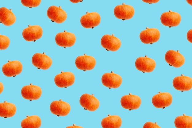 Trendy patroon met oranje decoratieve pompoenen op blauwe achtergrond bovenaanzicht