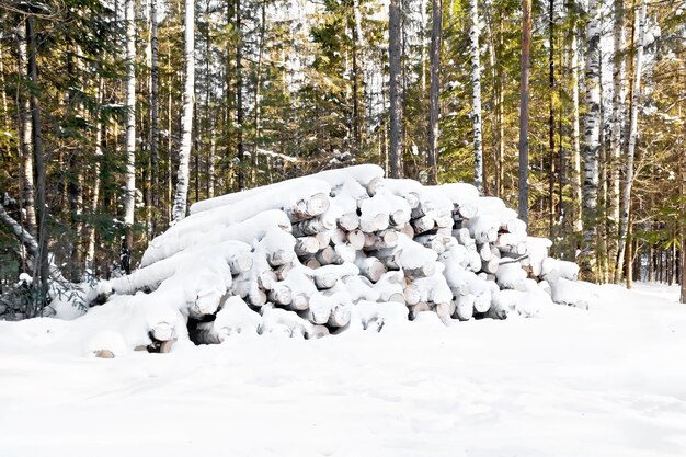 雪の上で伐採した木材で作った架台