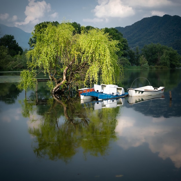 Treurwilg en boten worden weerspiegeld in het meer Revine Lago Treviso Italy
