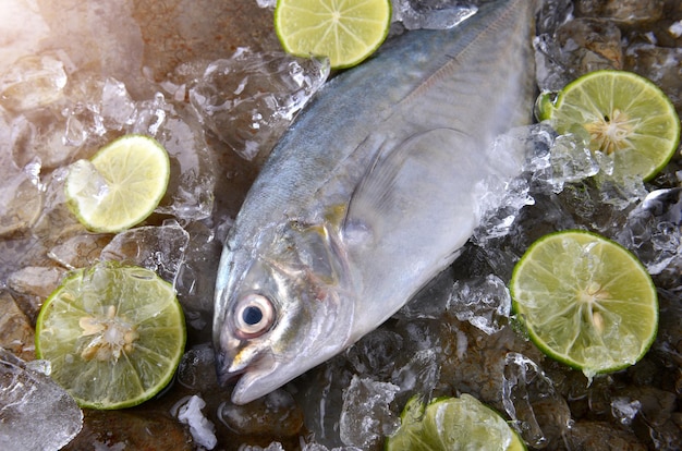 Trevally vis of jack met ijszout en citroen.